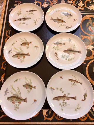 Upsala Ekeby K & P Karlskrona Set Of 6 Fish 10” Plates,  Made In Sweden 1