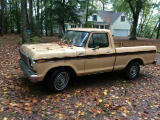 1978 Ford F - 100