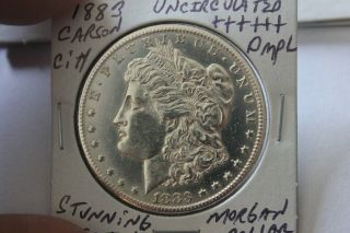 1883 - Cc Dmpl Unc,  Morgan Silver Dollar