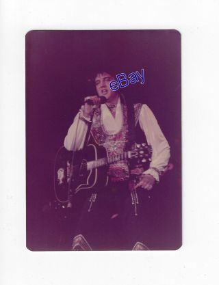 Elvis Presley Concert Photo - Gypsy 1975 - Jim Curtin Ron Wolfe Vintage