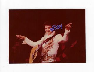 Elvis Presley Concert Photo - Posing 1977 - Jim Curtin Bob Heis Vintage