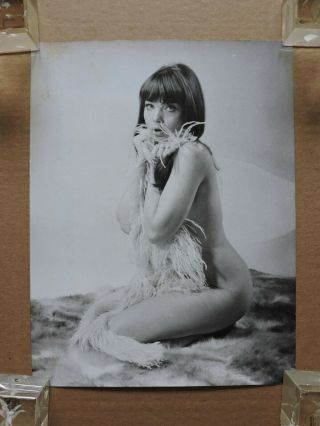 Barbara Capell Kneeling In The Nude Leggy Pinup Portrait Photo 1970