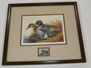 1981 1982 Wi Duck Stamp Print American Pintails William J Koelpin Signed ’ed