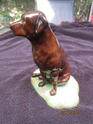 Royale Stratford Of Staffordshire Figurine;brown Labrador Retriever;