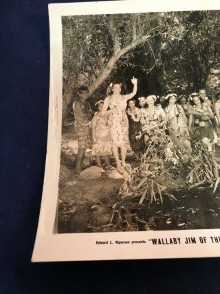 Vintage Movie Still Black & White Photo Wallaby Jim Of The Islands Tropical 2