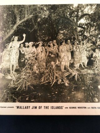 Vintage Movie Still Black & White Photo Wallaby Jim Of The Islands Tropical 3