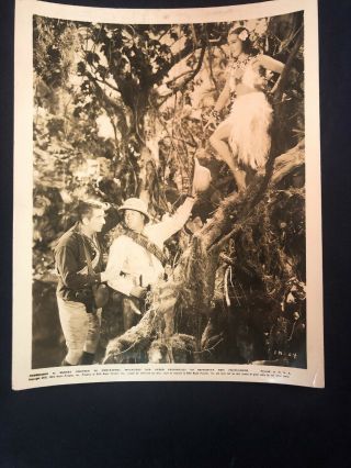 1930’s Movie Still Black & White Photo Soldiers Looking At Hawaiian Lady In Tree