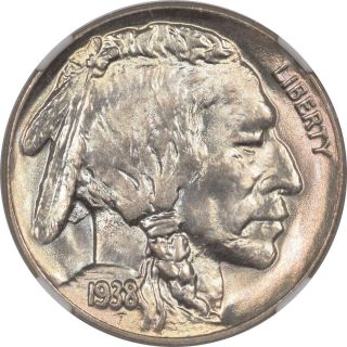1938 - D Buffalo Nickel NGC MS 67 an Unreal Gem,  Easily THE BEST Ive Seen in Years 2