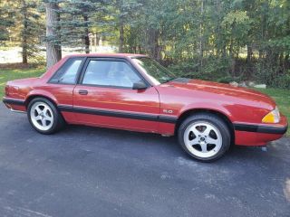 1988 Ford Mustang - -