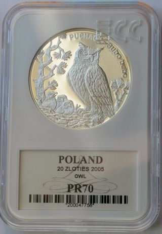 20 Zlotych 2005 Euroasian Eagle Owl (bubo Bubo) Puchacz,  1 Oz Silver 925