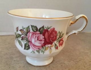 Queen Anne Bone China Footed Tea Cup Only Pink Red Roses Greenery 8546 Signed