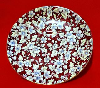 Vintage England Lord Nelson Ware Royal Brocade Red Floral Saucer 6 "