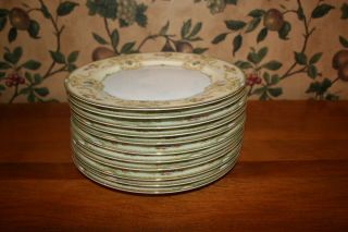 11 - Vintage Meito China Dinner Plates Hand Painted - Made In Japan Circa 1930 