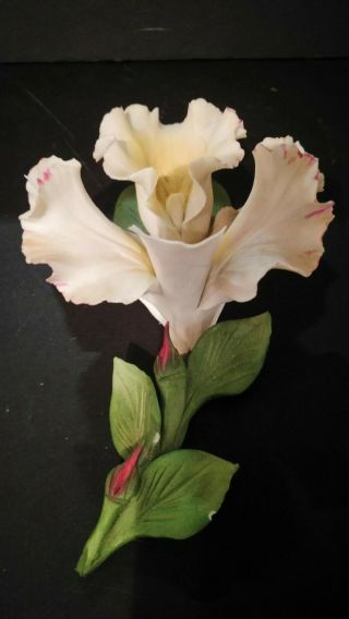 Capodimonte Porcelain White & Purple Iris Flower - Made In Italy