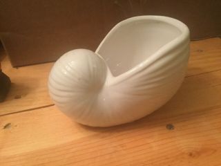 White Shell Planter Classy With Smooth Lines Planter 6” X 3.  5”