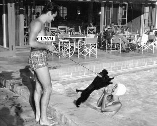 Tony Curtis And Janet Leigh At Swimming Pool At The Racquet Club In Palm Springs