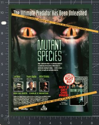 Mutant Species_original 1995 Trade Print Ad / Promo_leo Rossi_powers Boothe
