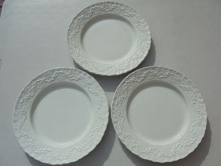 3 Wedgwood Ralph Lauren Claire Dinner Plates W Tags