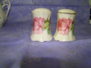 Vintage Porcelain China Salt & Pepper Shakers Pink Roses Royal Austria O E & G