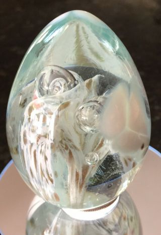 Msh Mt.  St.  Helens Ash Iridescent White Swirl Glass Art Paperweight