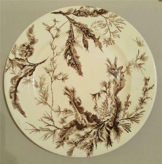 (2) Antique 19th Century Wedgwood 9 1/2 " Dinner Plates