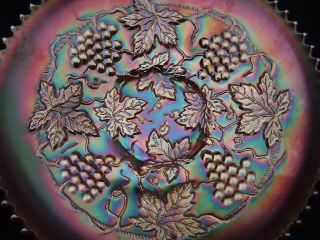 Northwood Carnival Glass Marigold Grape And Cable Variant Plate Plain Back