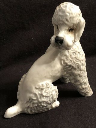 Vtg Rosenthal Porcelain White Poodle Dog Figurine Made In Germany Euc