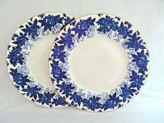 2 Pc Coalport England Bone China Blue Leaves On White Dinner Plates 10 3/4 " 4