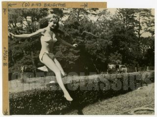 Brigitte Bardot Naughty Girl 1956 Bikini Vintage Photograph