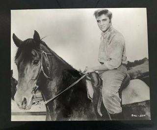Vtg Elvis Presley 1956 Movie Love Me Tender 8x10 Photo Riding Horse