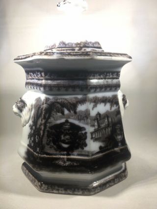 Antique Circa 1830 - 1840 Lions Head Handles “washington Vase” Sugar Dish