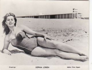 Sophia Loren - Hollywood Movie Starlet Pin - Up 1950s Greetings Photocard/scarce
