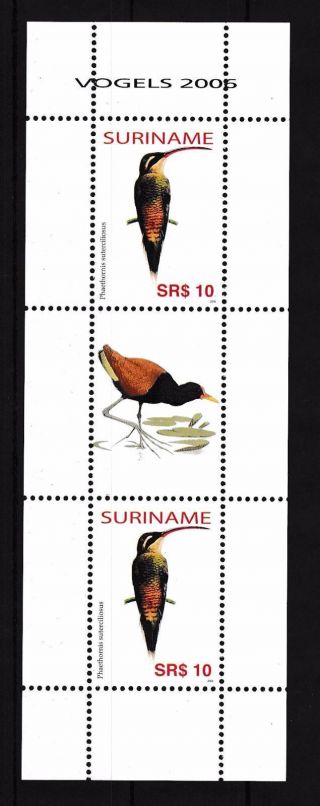 [suv1418] Surinam Suriname 2006 Birds Vögel Oiseaux Miniature Sheet With Tab Mnh