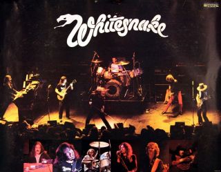 Whitesnake 1980 Debut Lp Rare Promo Poster