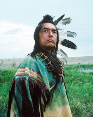 Graham Greene Dances With Wolves 8x10 Photo Indian Chief