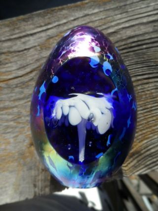 Roger Vines Signed Iridescent 3 - 1/2 " Glass Egg Paperweight Mt St Helens Ash 1998