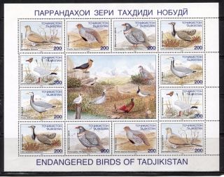 Birds On Tajikistan 1995 Scott 84 - 89 Sheet Of 12 Stamps And Central Label,  Mnh