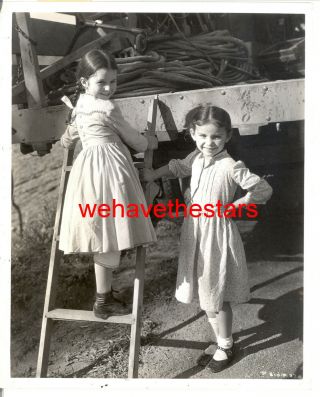 Vintage Virginia Weidler Child Star Stand - In 