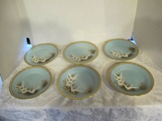 6 Rare Antique Nippon Teal Flying Swan Geese Jeweled Moriage 7 3/4 " Plates