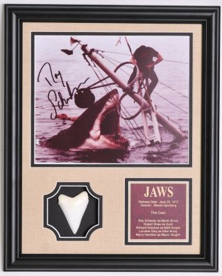 Jaws Roy Scheider Signed Framed Shark Photo With Great White Shark Tooth