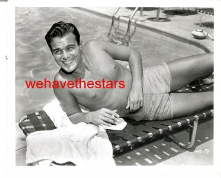 Vintage William Reynolds Beefcake Swimsuit Quite Handsome 