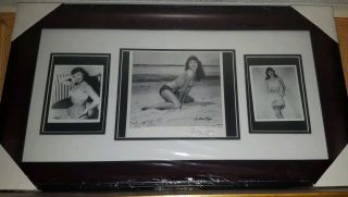 Bunny Yeager Signed Betty Page Nude 8x10 Photo Framed Collage W.