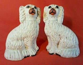 Antique Staffordshire Dogs Spaniels Figurines