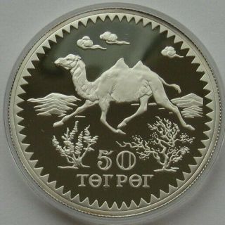 Mongolia Silver 50 Tugrik 1976 Bactrian Camel Wwf Conservation Proof Coin