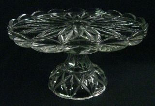 Antique Circa 1902 Eapg “ward’s Era” / “co - Op 20th Century” Glass Cake Stand