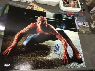 Stan Lee Marvel Comics Spider - Man Signed 11 " X 14 " Photo Psa/dna Sticker Only