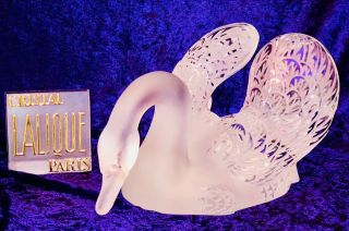 Large Lalique Crystal France “swimming Swan” With Head Down - Rare -