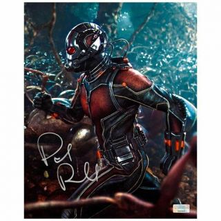 Paul Rudd Autographed Ant - Man And The Colony 8x10 Photo