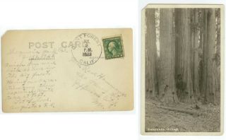 1923 Giant Forest California Dpo - Was Supposed To Be 1915 - 1918 - Real Photo Pc