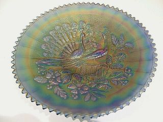 Northwood Peacock On Fence Carnival Glass Saw Tooth Plate Bowl Antique (952)